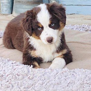 Meet your Posher, Jan